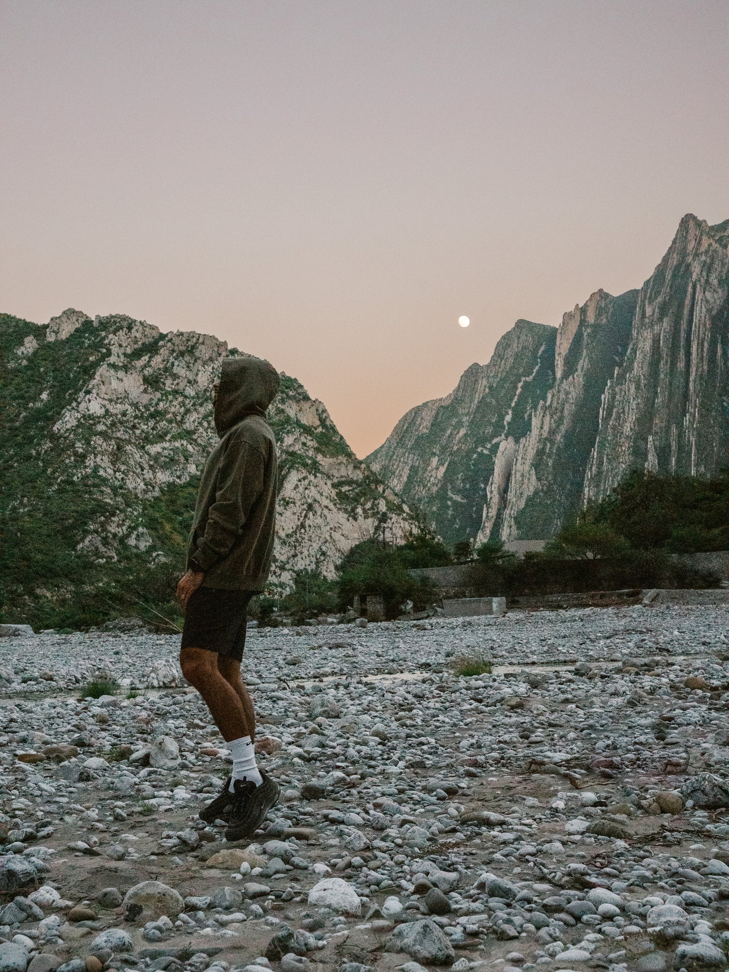 TAKE ME TO THE PALMS HOODIE - OLIVE GREEN